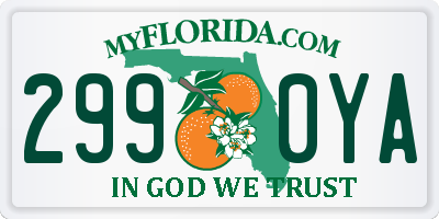 FL license plate 2990YA
