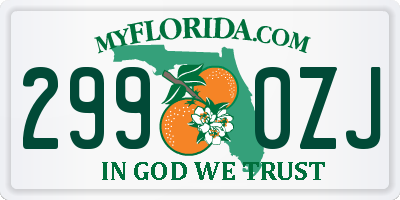 FL license plate 2990ZJ