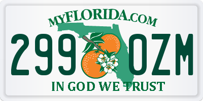 FL license plate 2990ZM