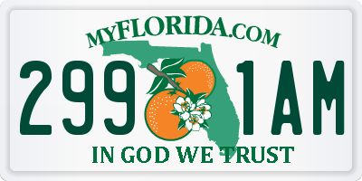 FL license plate 2991AM