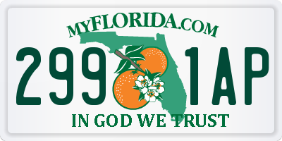 FL license plate 2991AP