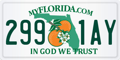 FL license plate 2991AY