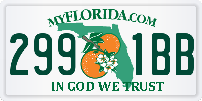 FL license plate 2991BB