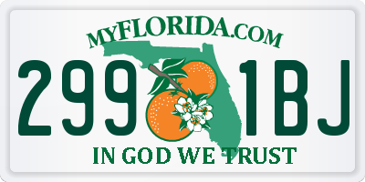 FL license plate 2991BJ