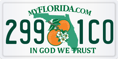 FL license plate 2991CO