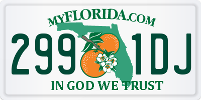 FL license plate 2991DJ