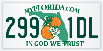 FL license plate 2991DL