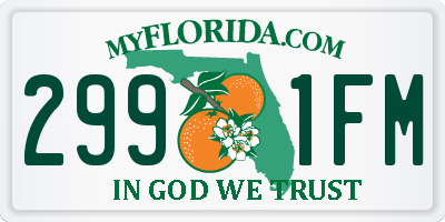 FL license plate 2991FM