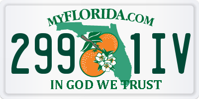 FL license plate 2991IV