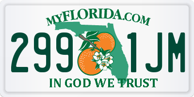 FL license plate 2991JM