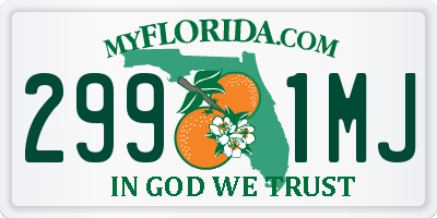 FL license plate 2991MJ