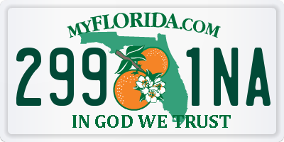 FL license plate 2991NA