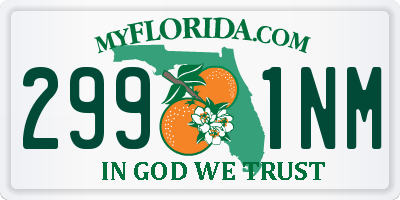 FL license plate 2991NM