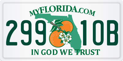 FL license plate 2991OB