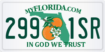 FL license plate 2991SR
