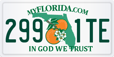 FL license plate 2991TE