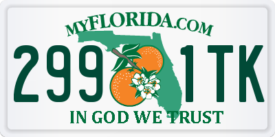 FL license plate 2991TK
