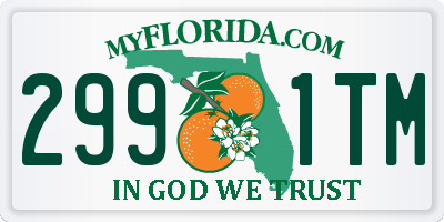 FL license plate 2991TM