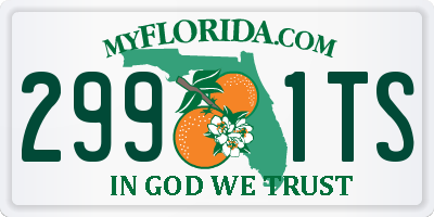 FL license plate 2991TS