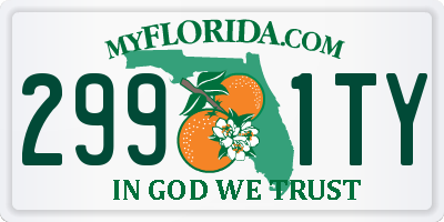 FL license plate 2991TY