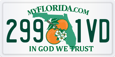 FL license plate 2991VD