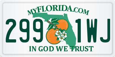 FL license plate 2991WJ
