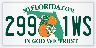 FL license plate 2991WS
