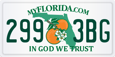FL license plate 2993BG