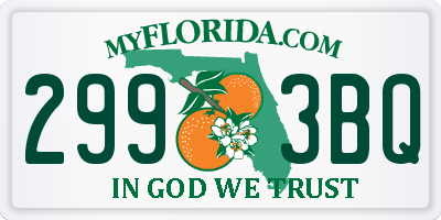 FL license plate 2993BQ