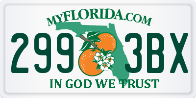 FL license plate 2993BX