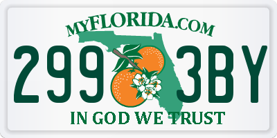 FL license plate 2993BY