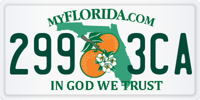 FL license plate 2993CA