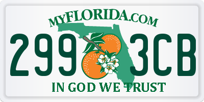 FL license plate 2993CB