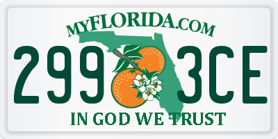 FL license plate 2993CE