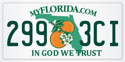 FL license plate 2993CI