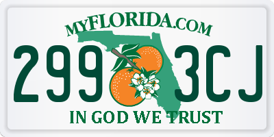 FL license plate 2993CJ