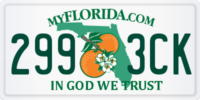 FL license plate 2993CK