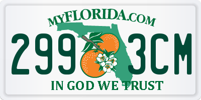 FL license plate 2993CM