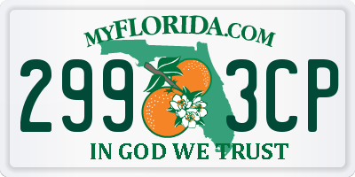 FL license plate 2993CP