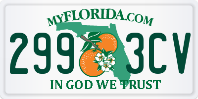FL license plate 2993CV