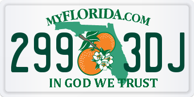 FL license plate 2993DJ
