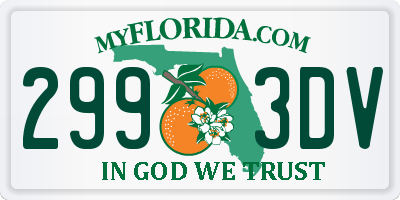 FL license plate 2993DV