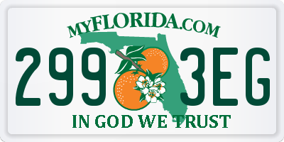 FL license plate 2993EG