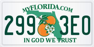 FL license plate 2993EO