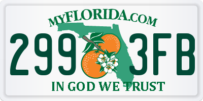 FL license plate 2993FB