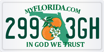 FL license plate 2993GH