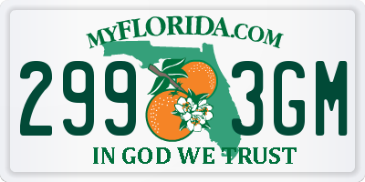 FL license plate 2993GM