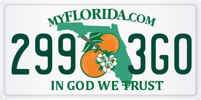 FL license plate 2993GO