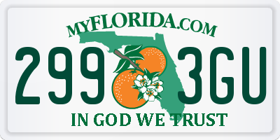 FL license plate 2993GU