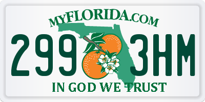 FL license plate 2993HM
